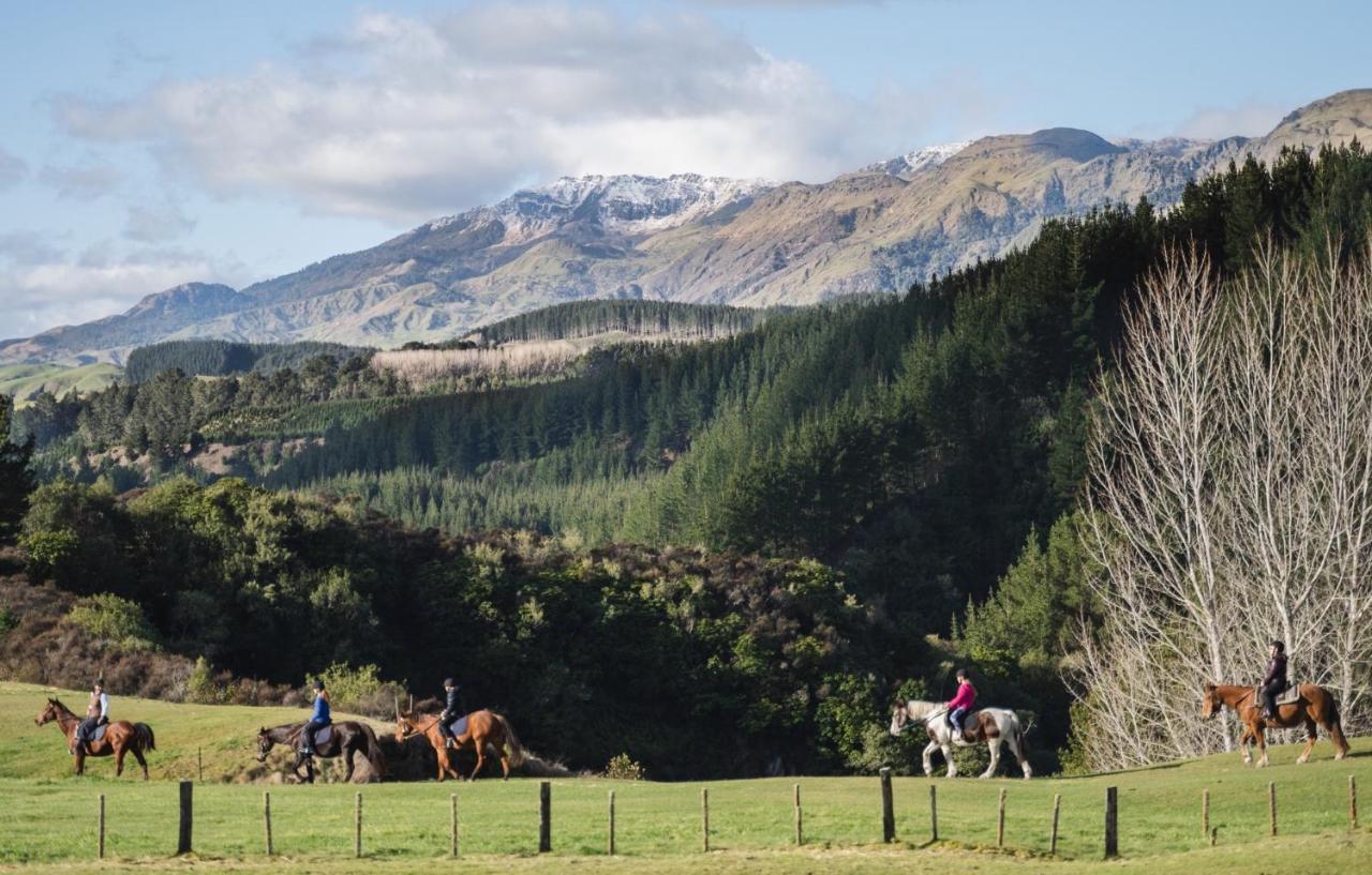 Mohaka River Farm Te Haroto Exteriör bild