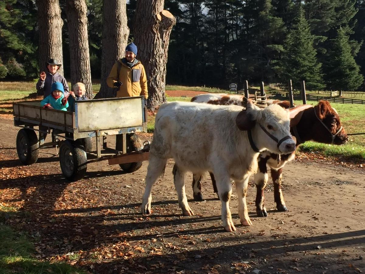 Mohaka River Farm Te Haroto Exteriör bild