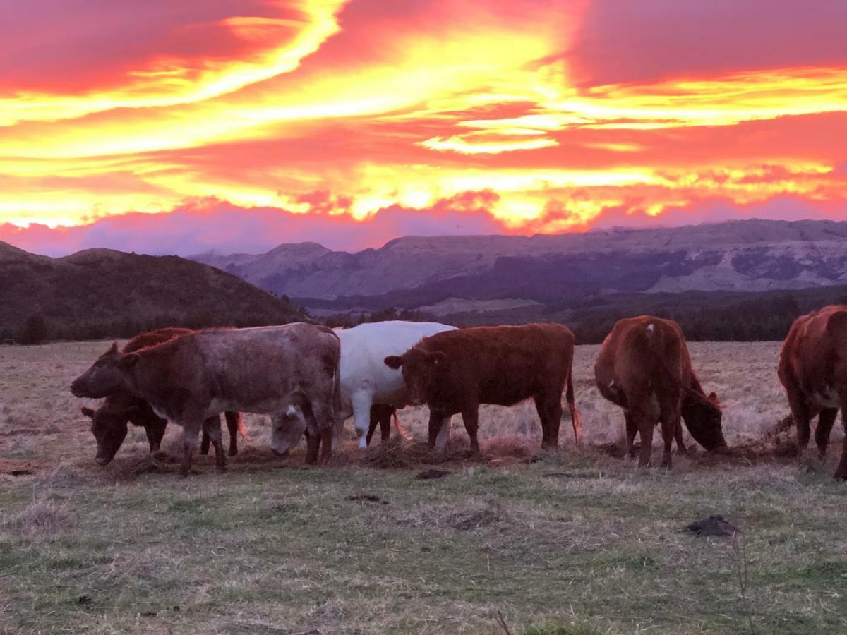 Mohaka River Farm Te Haroto Exteriör bild