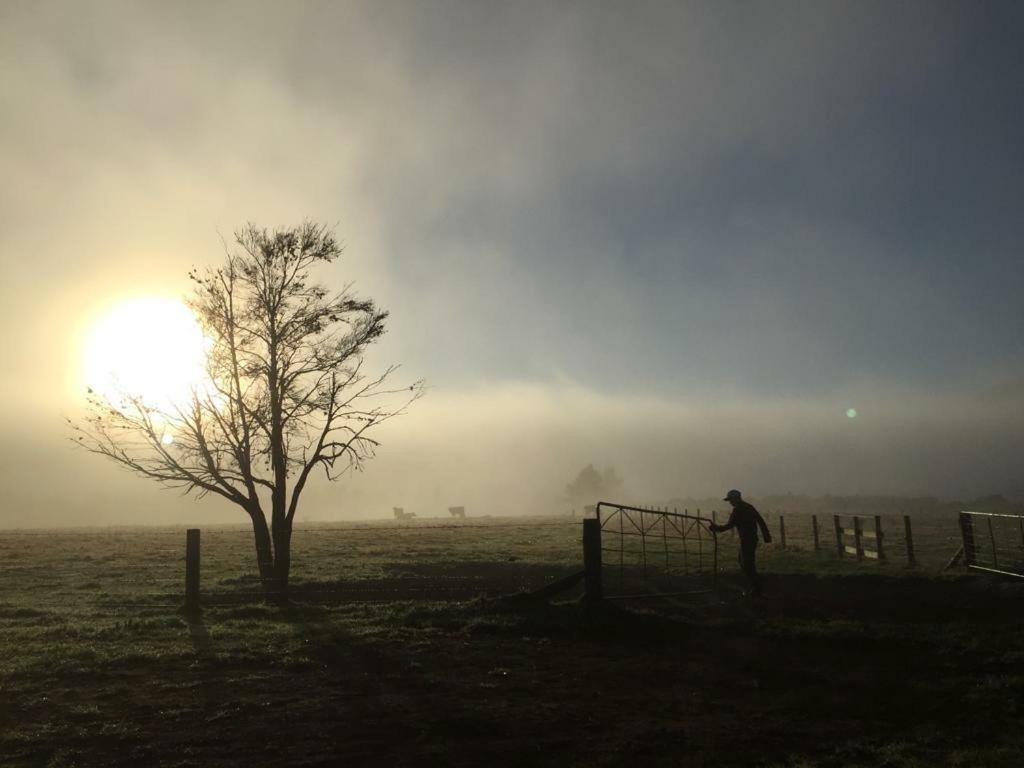 Mohaka River Farm Te Haroto Exteriör bild